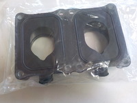 DSCN8699