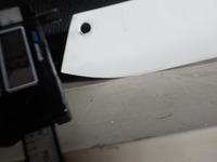 DSCN6819