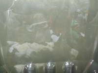 DSCN8624