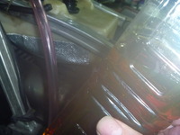 P1130310