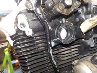 DSCN6400