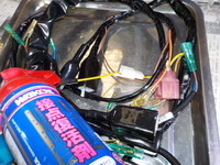DSCN5081