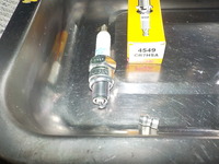 DSCN7647