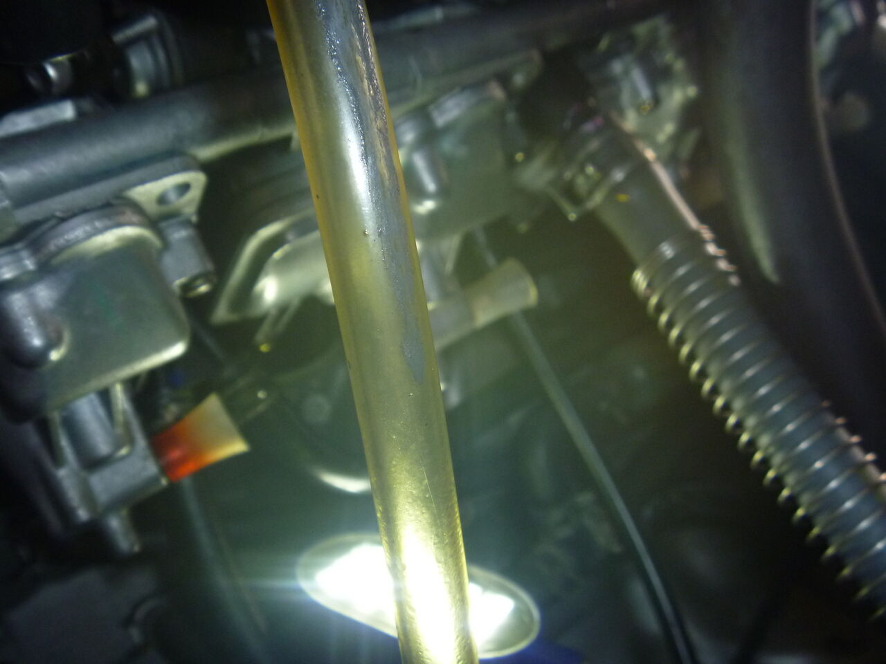 ZX-9R キャブ パイロットスクリュー 調整 '00 E1 : MC Craft