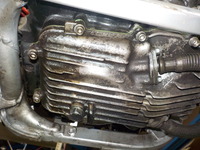 DSCN8050