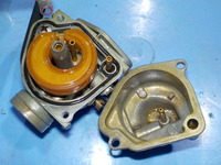 DSCN6929