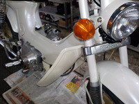 DSCN5230