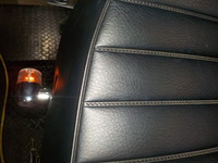 DSCN5541