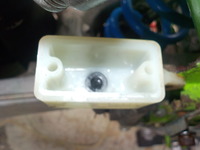 DSCN3113