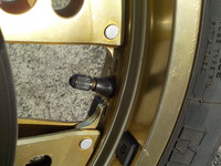 DSCN5631
