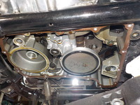 DSCN6337