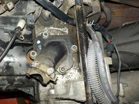 DSCN0395