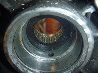 P1060356