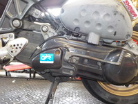 DSCN5439
