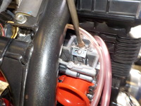 DSCN0331