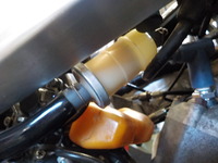 DSCN8239