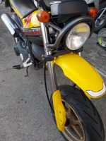 DSCN5499