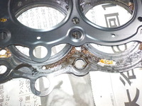 DSCN5402