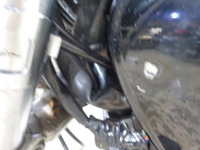 DSCN4329