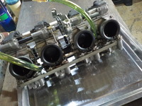 DSCN5049