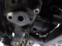 DSCN7516
