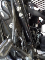 DSCN5456