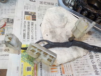 DSCN9917
