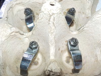 DSCN3672