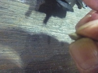 P1010366