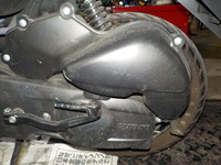 DSCN3538