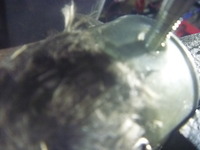 P1010240