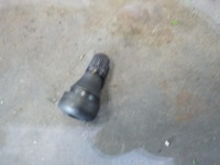 DSCN8704