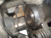 DSCN5959