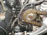 DSCN5367