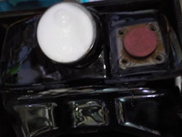 DSCN8795