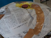 DSCN4863