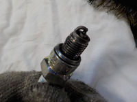 DSCN3147
