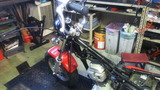 ape100red20111012ws (8)