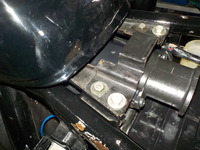 DSCN5984