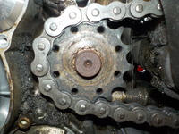 DSCN1257
