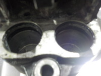DSCN4397
