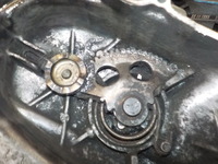 DSCN8600
