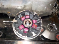 DSCN3220