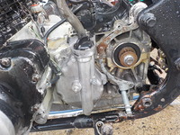DSCN2554