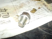 DSCN7300