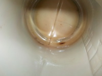 DSCN8120