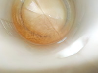 DSCN3644