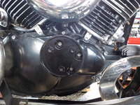 DSCN3981