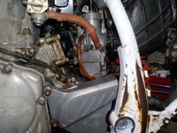 DSCN9071
