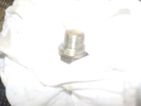 DSCN5584